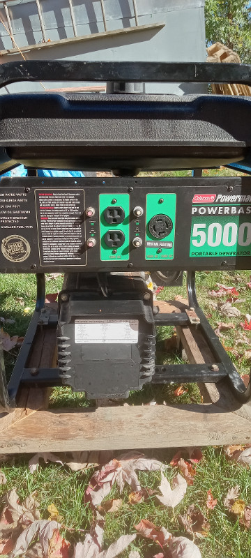 Generator in Outdoor Tools & Storage in Kingston
