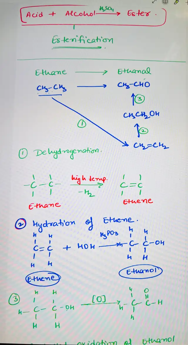 Physics Chemistry Biology Maths Grade 11 -12 Female in Tutors & Languages in Ottawa - Image 4