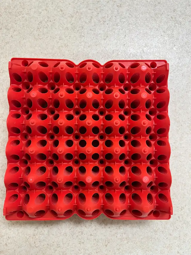 Plastic Egg Trays in Other in Portage la Prairie - Image 6