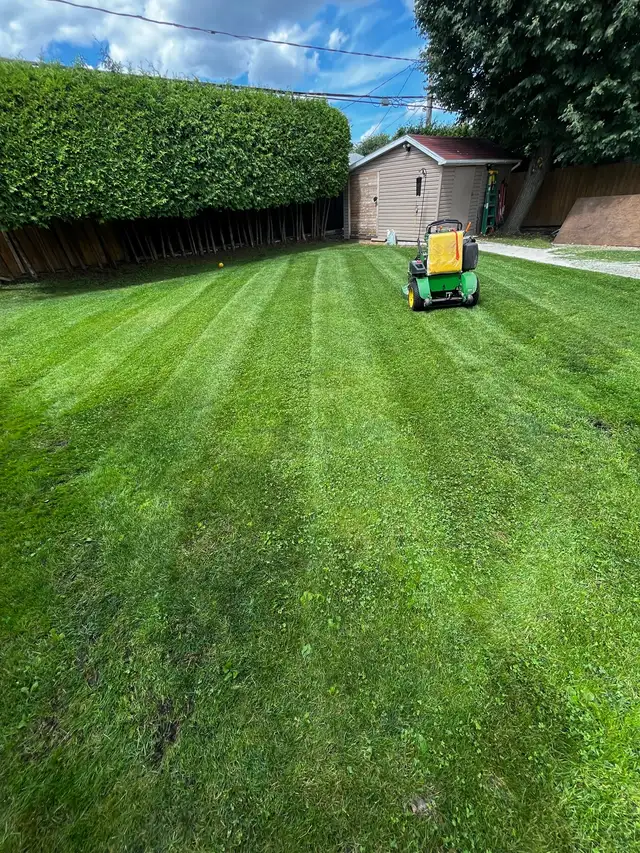 Lawn Mowing565170200820459521