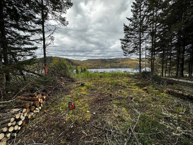 Terrains a vendre à Trois Rives en Mauricie — photo 3