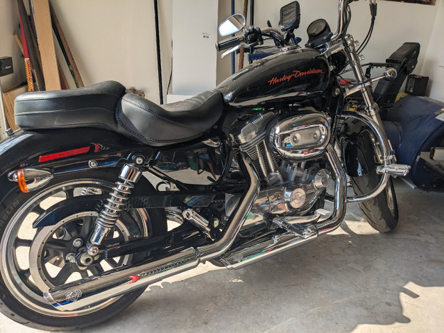 2011 Harley Davidson XL in Street, Cruisers & Choppers in Oakville / Halton Region