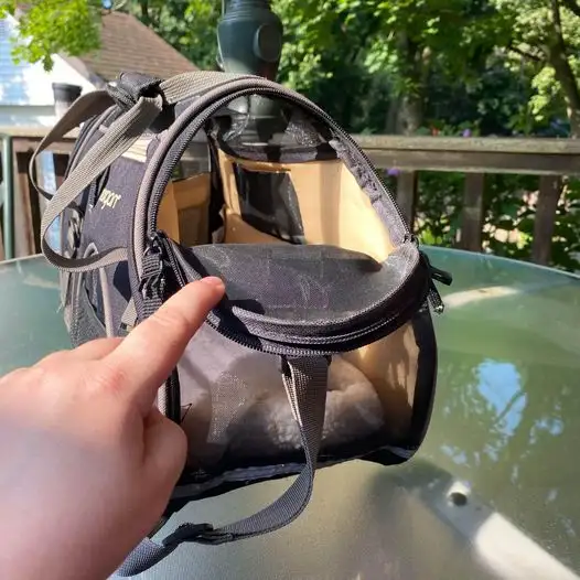 Like New Bergan small pet carrier — airline approved in Accessories in Brantford - Image 7