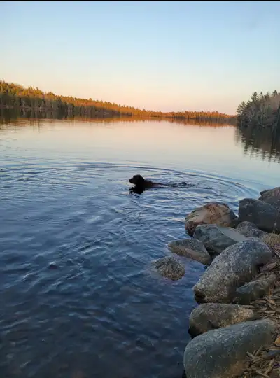 Escape to your own 133-acre wilderness retreat just an hour from Halifax. This stunning property in...