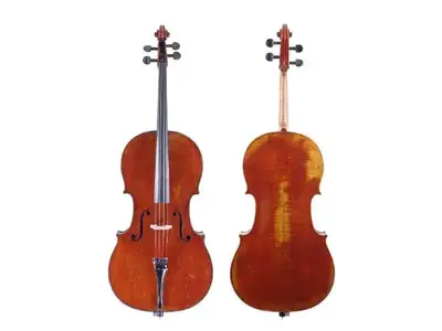COURS DE VIOLONCELLE LÉVIS QUEBEC, View more