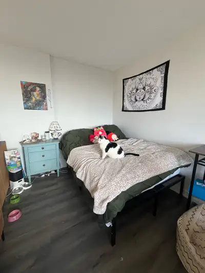 FIRST MONTH FREE Spacious studio apartment available for Sublet from February 1st. Sublet is until J...