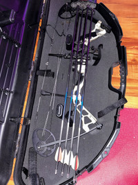 Compound Bow, Carry Case and Arrows