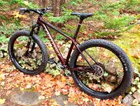 Cannondale Best of The East 2, Medium