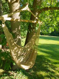 Hammock swing