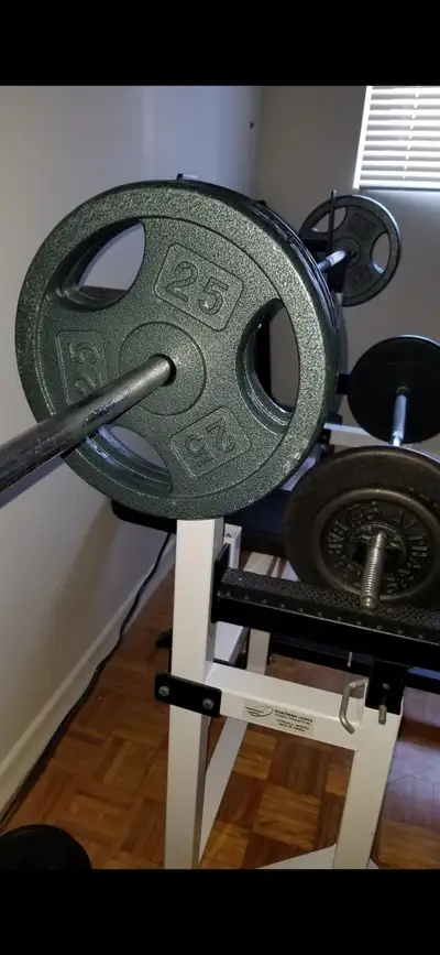 Workout bench, bench bar, curling bar, weights for sale, View more