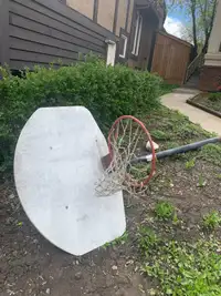 Lifetime adjustable basketball hoop. 