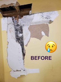 Drywall taping, finishing, plastering, mudding, stucco removal