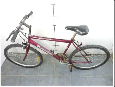 Clearing out our storage room and selling this bike. • 21-speed gears • Twist shifters • Linear pull...