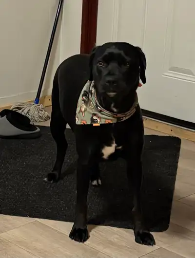 Senior Step Father & Mature Step Daughter Seeking Rural Rental – Midland Area Hello, We are a senior...