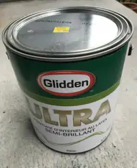 peinture de qualité pour l'intérieur 3.7 L