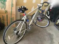 Adult mens bike