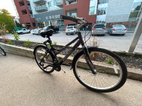 Schwinn City/Commuter/Comfort Bike