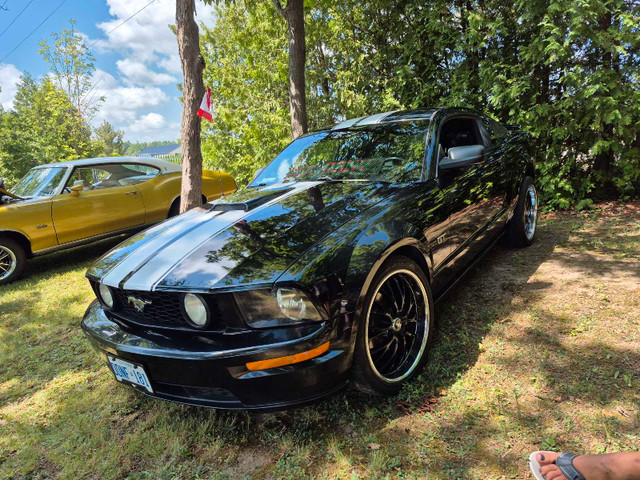 2007 mustang GT 5speed in Cars & Trucks in Hamilton