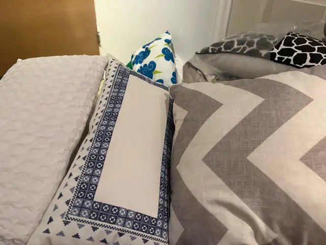 Decorative pillows , inserts , downsizing asap64520010215810120