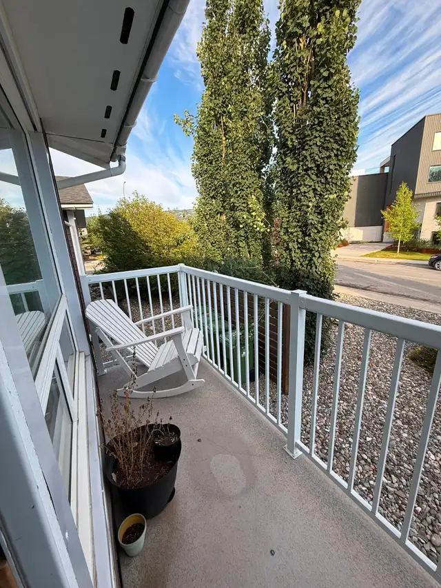 Downtown, fully furnished, 2 BR, 1 bathR, near Millennium trail.