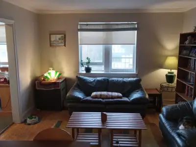 Short-term Apartment Rental, LIGHT PETSITTING REQUIRED, View more