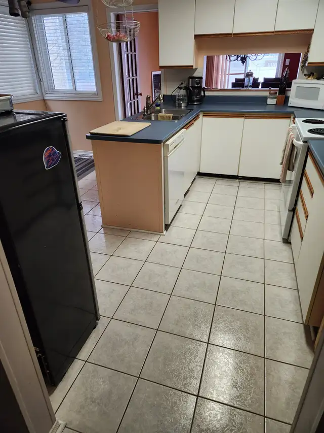 Pet friendly shared accommodations working professional/student406757104608225281