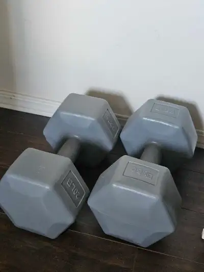 Pair of 20lb Dumbbells, View more