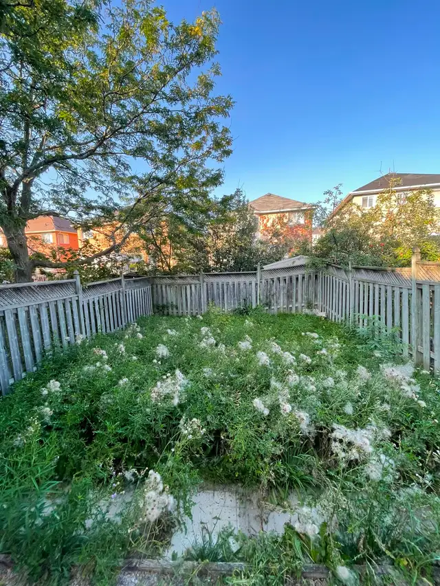 Mulch, Yard Cleanup & Garden Projects | Oakville & Burlington in Lawn, Tree Maintenance & Eavestrough in Oakville / Halton Region - Image 3