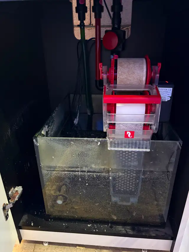 Red Sea Reefer 200XL + White Cabinet + Other Equipment in Other in Oakville / Halton Region - Image 4