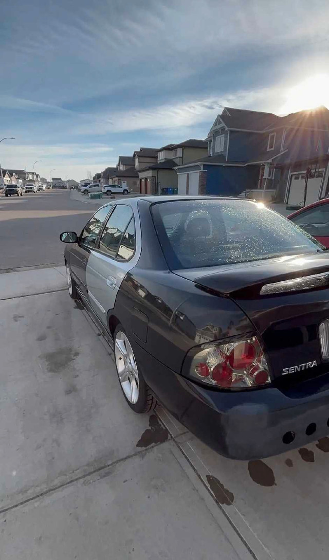 2004 Nissan Sentra SE-R spec V in Cars & Trucks in Lethbridge - Image 4