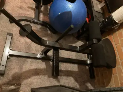 Northern Lights Seated Calf Machine - Like New, View more