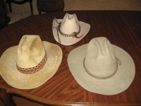 Stampede cowboy hats
