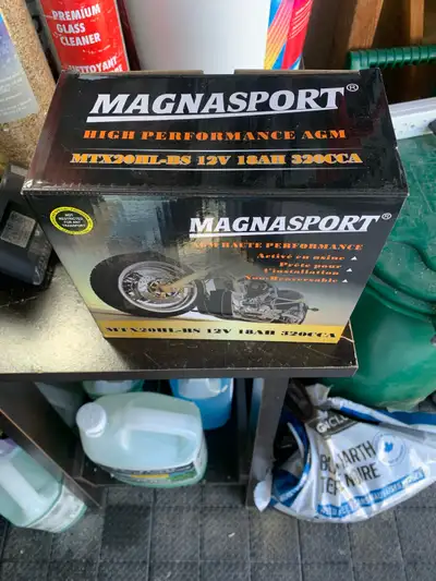 New waverunner battery agm $75 and clip on dock cushions/guards lightly used $75