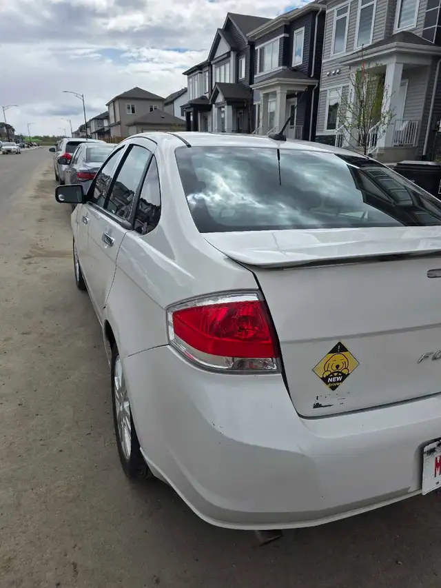 2011 ford focus low milage 460987209960007682