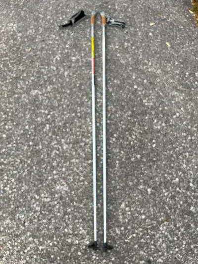 Salomon Equipe 60 Carbon Nordic Poles, View more