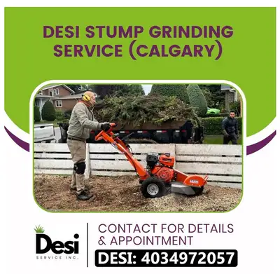 Desi Stump Grinding Service Calgary (647-308-3055), View more
