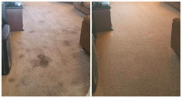 Rug, Carpet And Upholstery Cleaner(Free Sample)