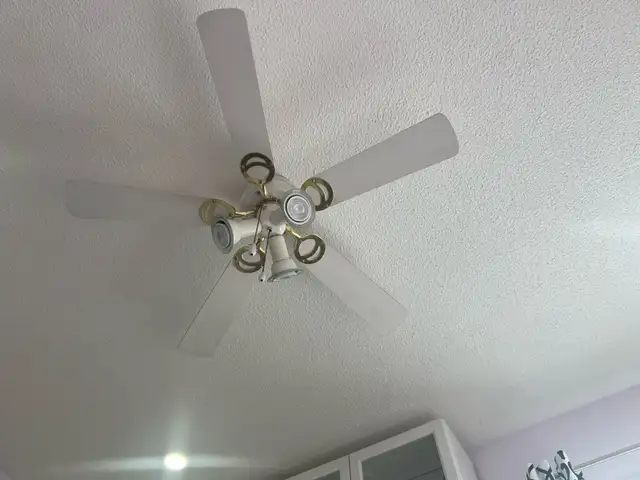 Ceiling fan with lights in Indoor Lighting & Fans in Mississauga / Peel Region - Image 4