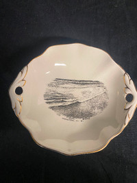 Tidal Bore Moncton Souvenir Dish