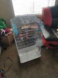 Large bird cage with accessories 