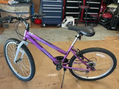 24 inch Girl’s Granite Huffy 18 speed Bicycle, View more