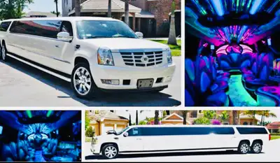 ~☎️ 4️⃣1️⃣6️⃣-5️⃣5️⃣9️⃣-4️⃣1️⃣1️⃣0️⃣ ✅ TEXT DATE LOCATION PICK UP CITY & DROP OFF CITY AND HOW MANY...