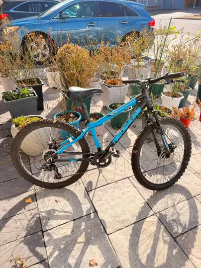 Nakamura Kids Mountain Bike: Barely Used, View more