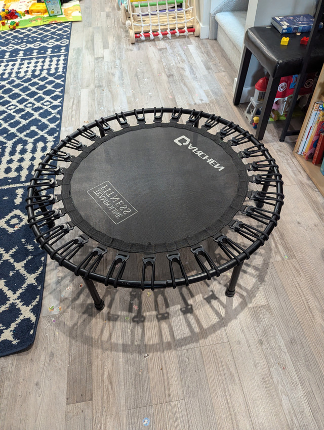 Darchen Trampoline (fitness or play) in Exercise Equipment in Edmonton - Image 2