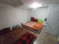 2 Shared Rooms available for rent in brand new basement