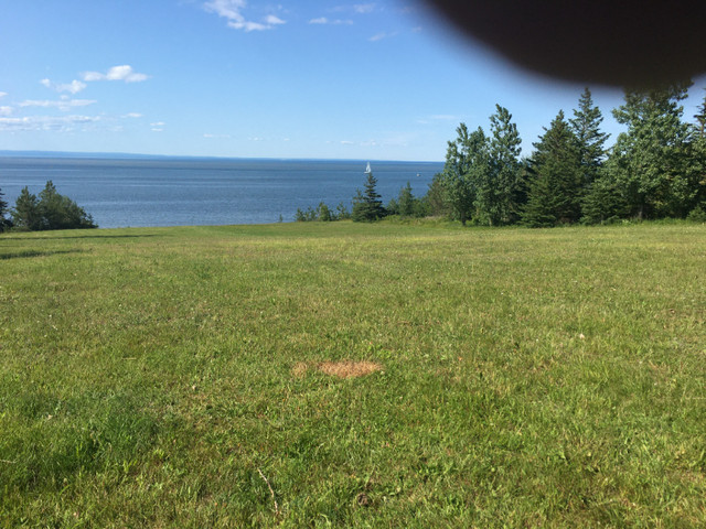 Oceanfront Property in Land for Sale in Bathurst - Image 3