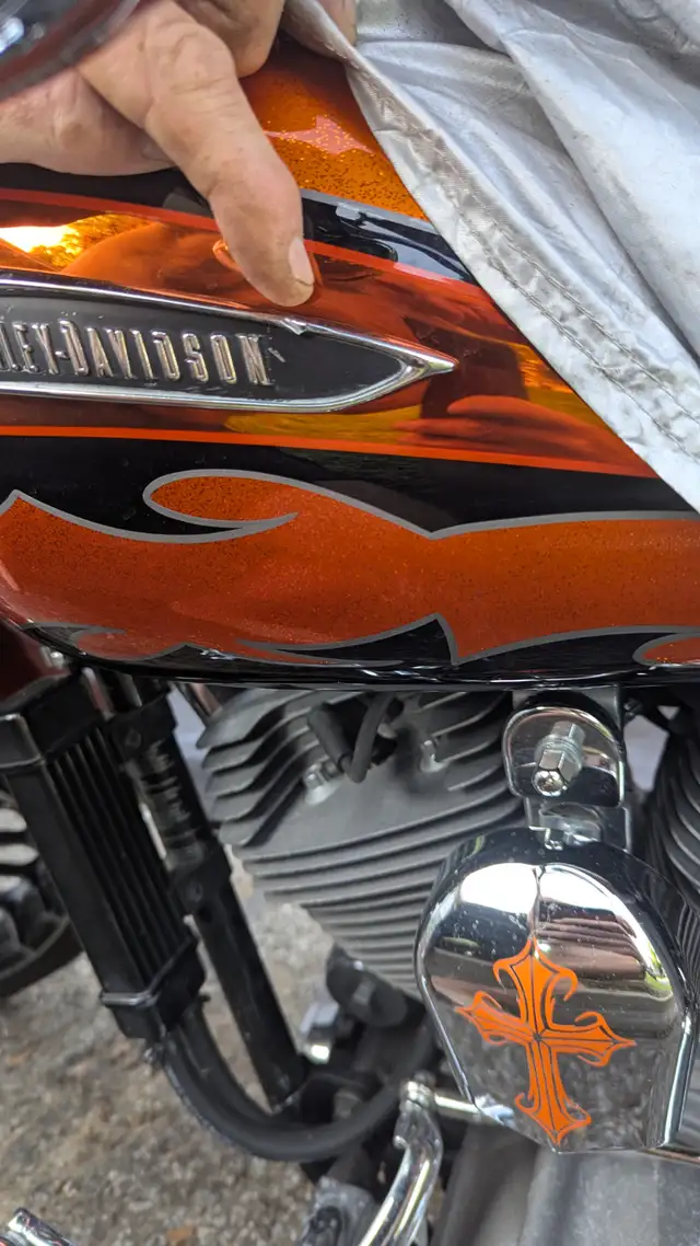 Harley Softail Breakout in Street, Cruisers & Choppers in Québec City - Image 11