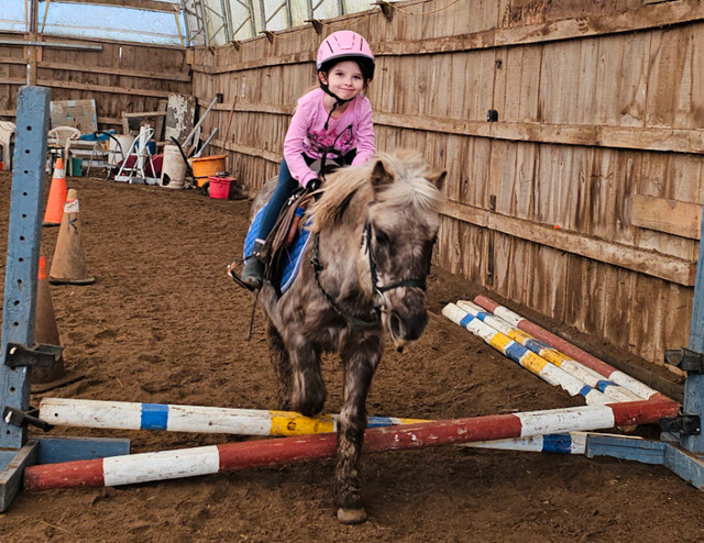 Year round Horseback riding english lessons in Equestrian & Livestock Accessories in Belleville - Image 4