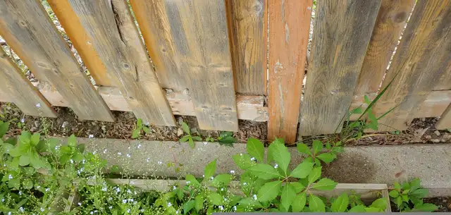 DRIVE WAY/GARDEN PAVERS/EDGE STONES FOR SALE, EACH $15-lo in Other in Mississauga / Peel Region - Image 4