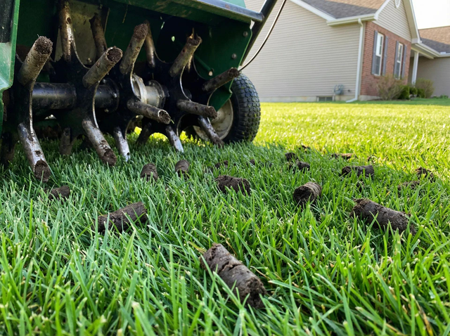 Fall Aeration, Dethatching, Fertilizer & Overseeding